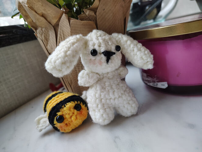 IMG_20260129_105817561_HDR