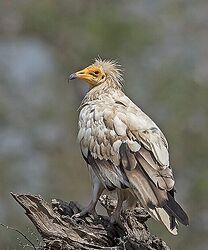 Screenshot 2025-11-01 202711