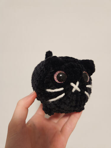 IMG_17746558571187453900399267726428