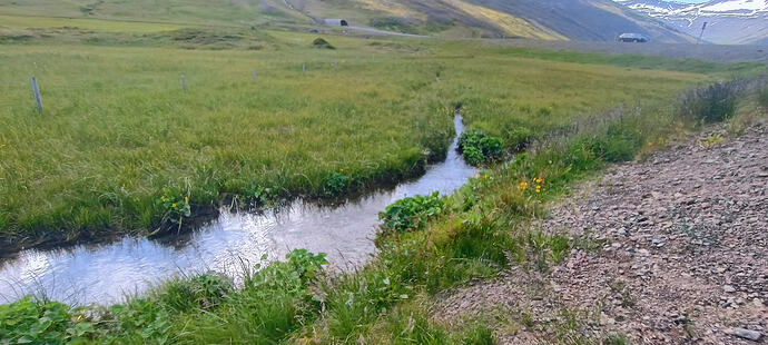 IMG_20250706_110354881_HDR_AE