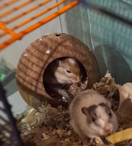 export_6772449487620769113