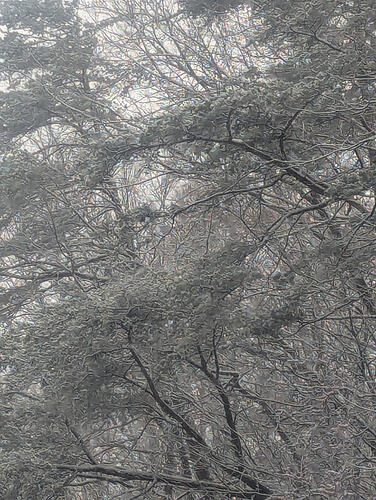 PXL_20260316_175854198.MP