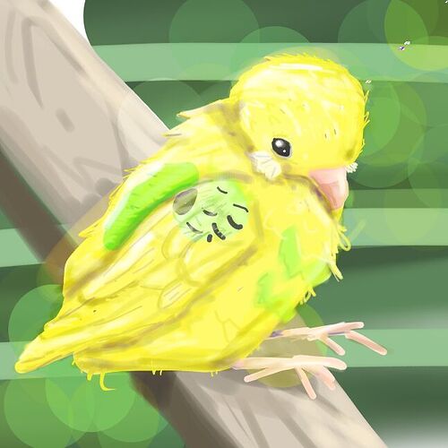 2026_02_11_0mr_Kleki