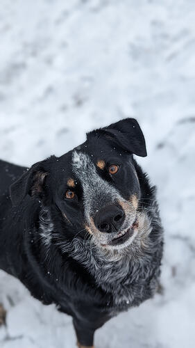 PXL_20240116_160753919.PORTRAIT (2)