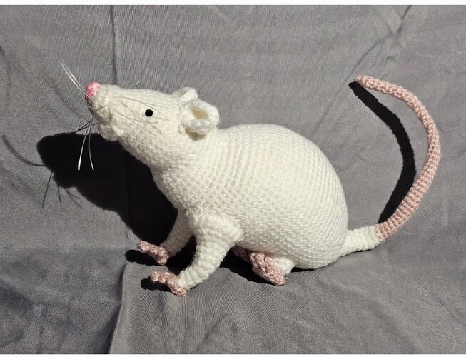 Screenshot_20251026_072454_Gallery