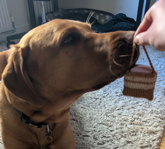 PXL_20260407_081624493.MP