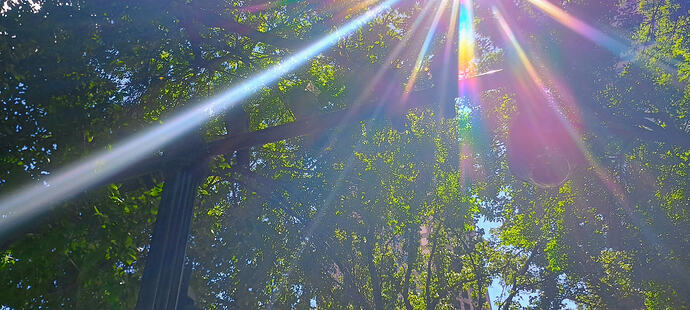 IMG_20250826_124342949_HDR_AE