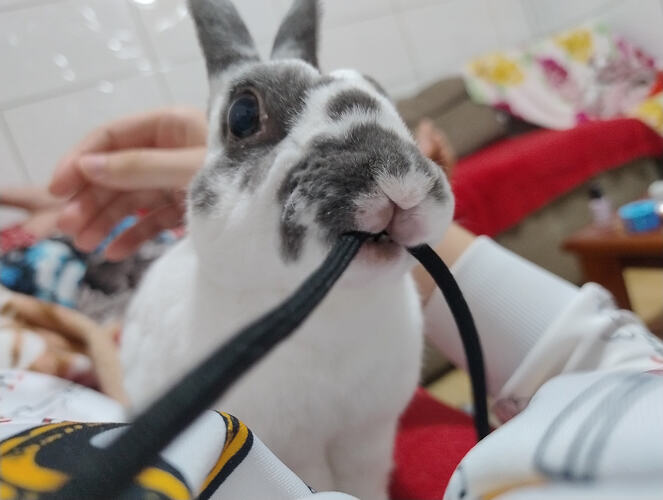 IMG_20260218_210310527