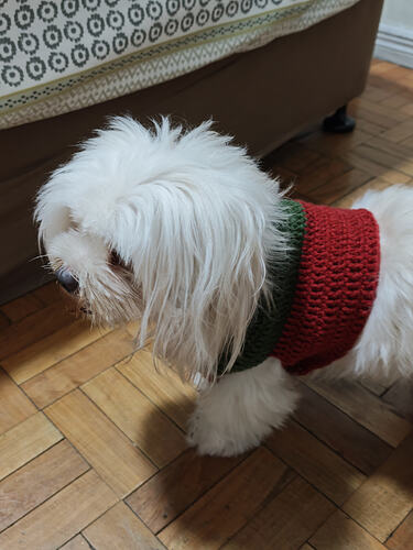 IMG_20260808_192353