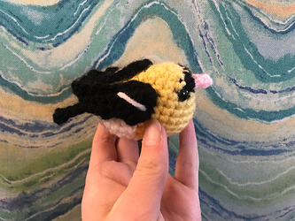 49CCD7D5-3B65-4B6F-94BA-8321B8DAB876