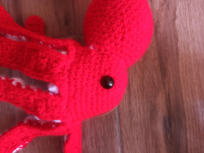 IMG_17675198917063390792811789550998