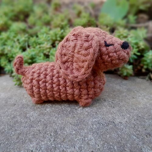 Dottie2