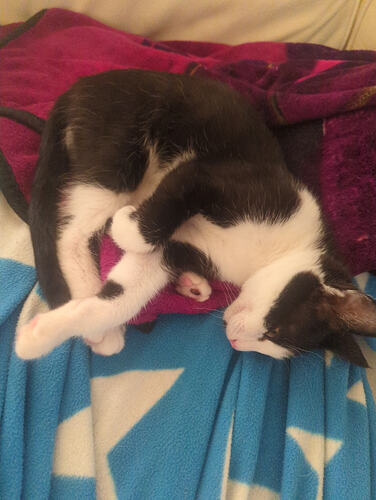 IMG_17723896032125524766710337130704