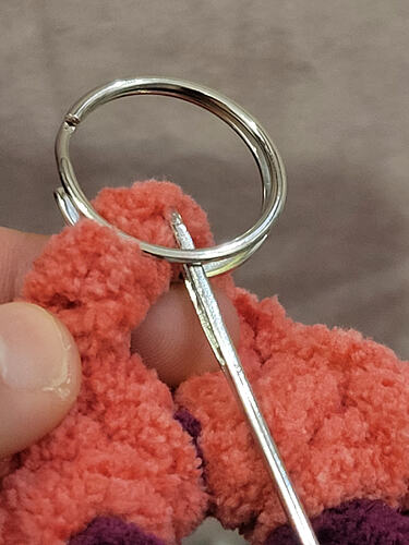 IMG_17687029105021788507708652976113