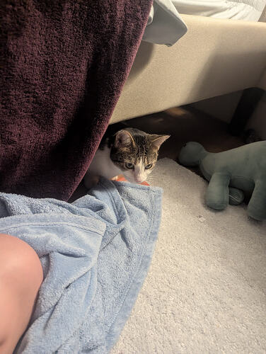 PXL_20260223_025647339