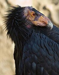 Screenshot 2025-11-01 202825