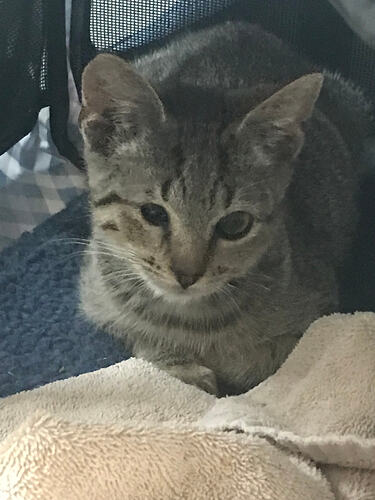 22CD7640-C38A-4CA9-8EDC-0637EC17B1F3