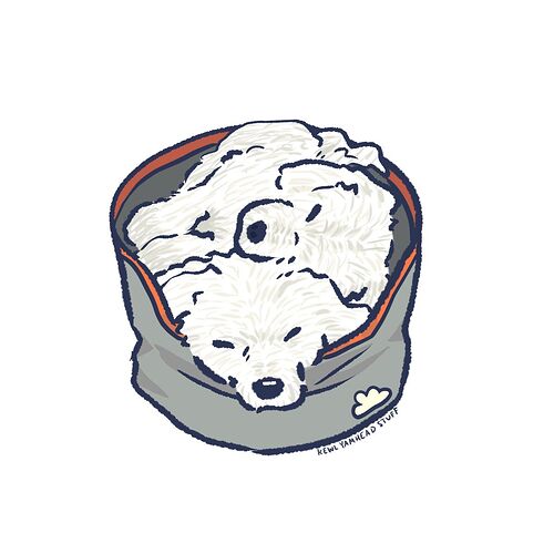 clouddoggos