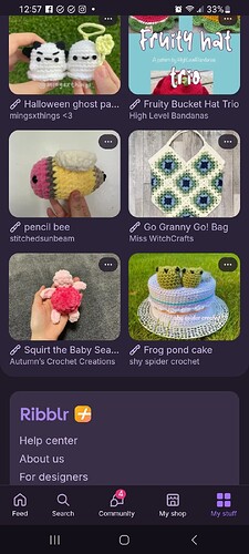 Screenshot_20250820_125731_Ribblr