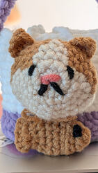 PXL_20260314_185531709.MP