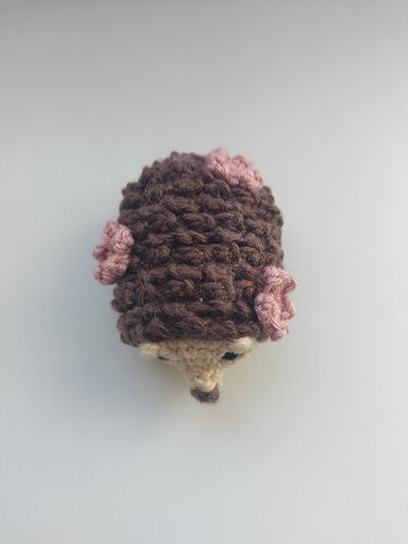 IMG_20260403_111713_700