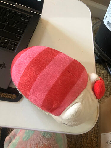 78606786017__C3A7D0C7-C059-49E2-A9DC-899DE78EA4FF