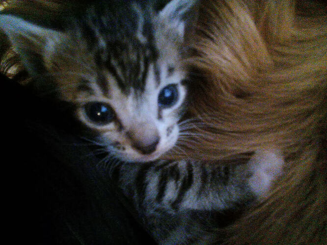 IMG_20251203_103938_575