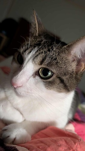 Messenger Kids_creation_157065654