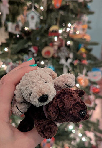 PXL_20260103_222605210.PORTRAIT.ORIGINAL~2