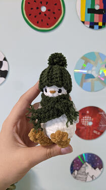 PXL_20260128_052130501.MP