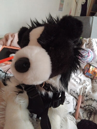 IMG_17736713836546507603937705665012