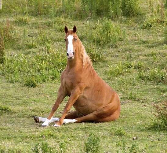 vrji-F5bQVA-xq1zKzZjOcLSgE0FfH8uNkjamuQ1fFU