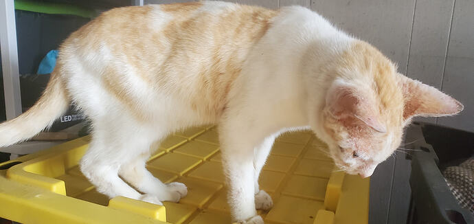 IMG_17742211496806616104772787560642