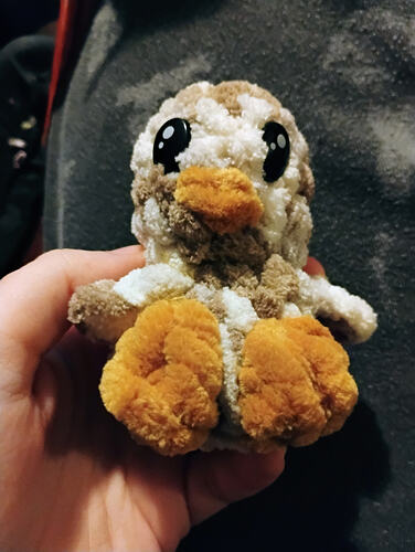 IMG_20260223_211725696_AE