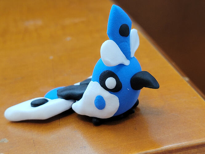 IMG_17628934897924441066911133385275