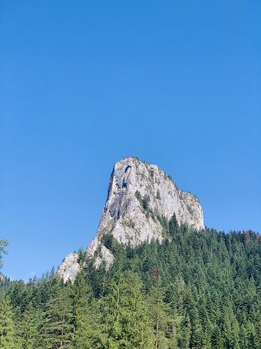 IMG_1353