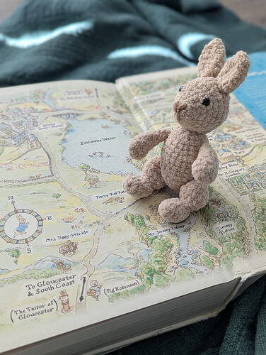 PXL_20260127_191600413.PORTRAIT