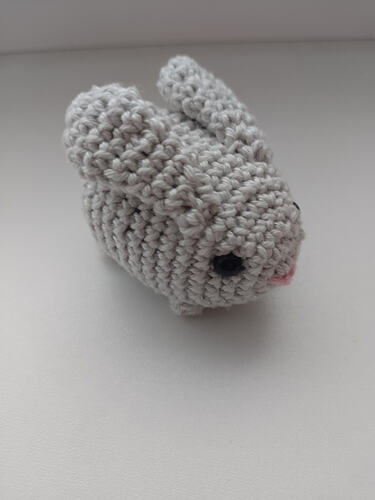 IMG_20251125_122543_256