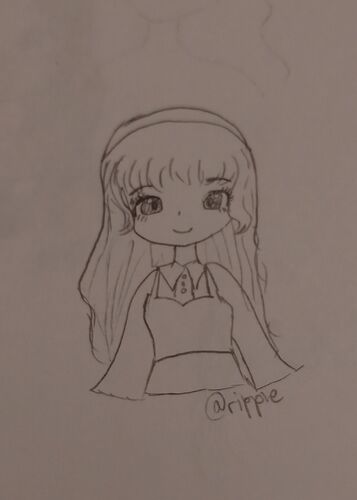 IMG_20260206_191618923