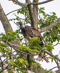 Screenshot 2025-11-01 202356