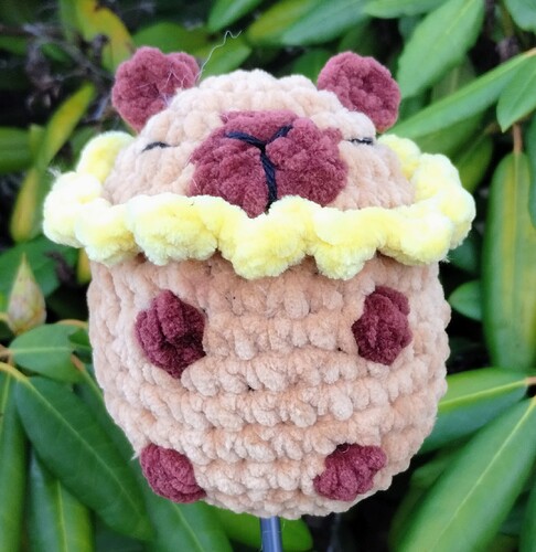 IMG_20251231_130856804~2