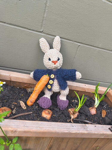 IMG_20260406_103330014_HDR