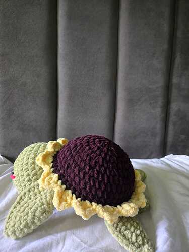 IMG-20260802-WA0008