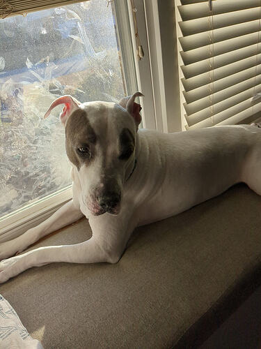 739a2be4-1614-4e74-b6b8-b25dfde40206