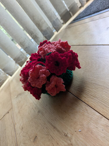 PXL_20250706_154014184