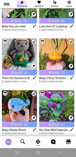 Screenshot_20250202-163456_Ribblr