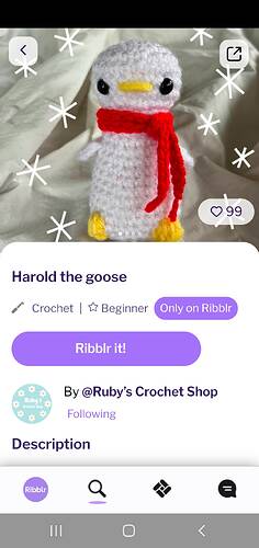 Screenshot_20250114-213134_Ribblr