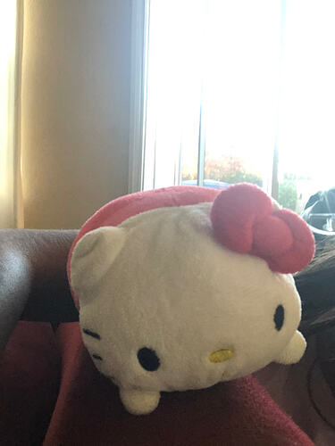 78606773674__6E09A8DB-23F2-4FBB-87B9-BD31EA61A3CD