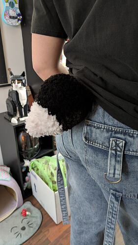 PXL_20260205_210320706