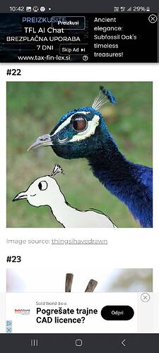 signal-2024-05-11-10-43-01-179-4